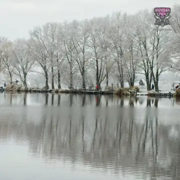 Заиндевевшие деревья вдоль берега и их отражение в воде